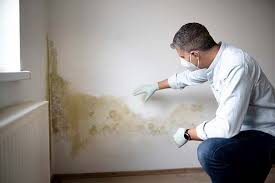 Best Mold-Related Health Consultation  in Kingston, OK